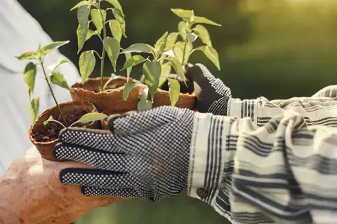 How Can Everyone Live a Quality Life Without Destroying Planet Earth?